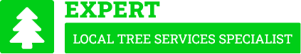 Upper Hutt Tree Services - Tree Removal Upper Hutt